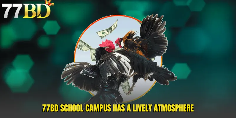 77BD School Campus Has A Lively Atmosphere