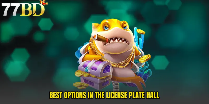 Best Options In The License Plate Hall