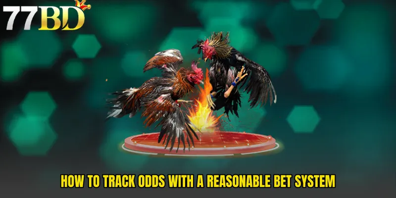 How To Track Odds With A Reasonable Bet System
