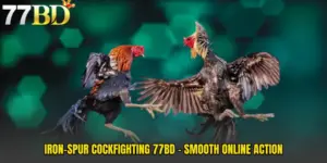 Iron-Spur Cockfighting 77BD - Smooth Online Action